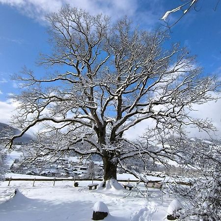 Hotel Garni Oberdorfer Stuben Obermaiselstein Dış mekan fotoğraf