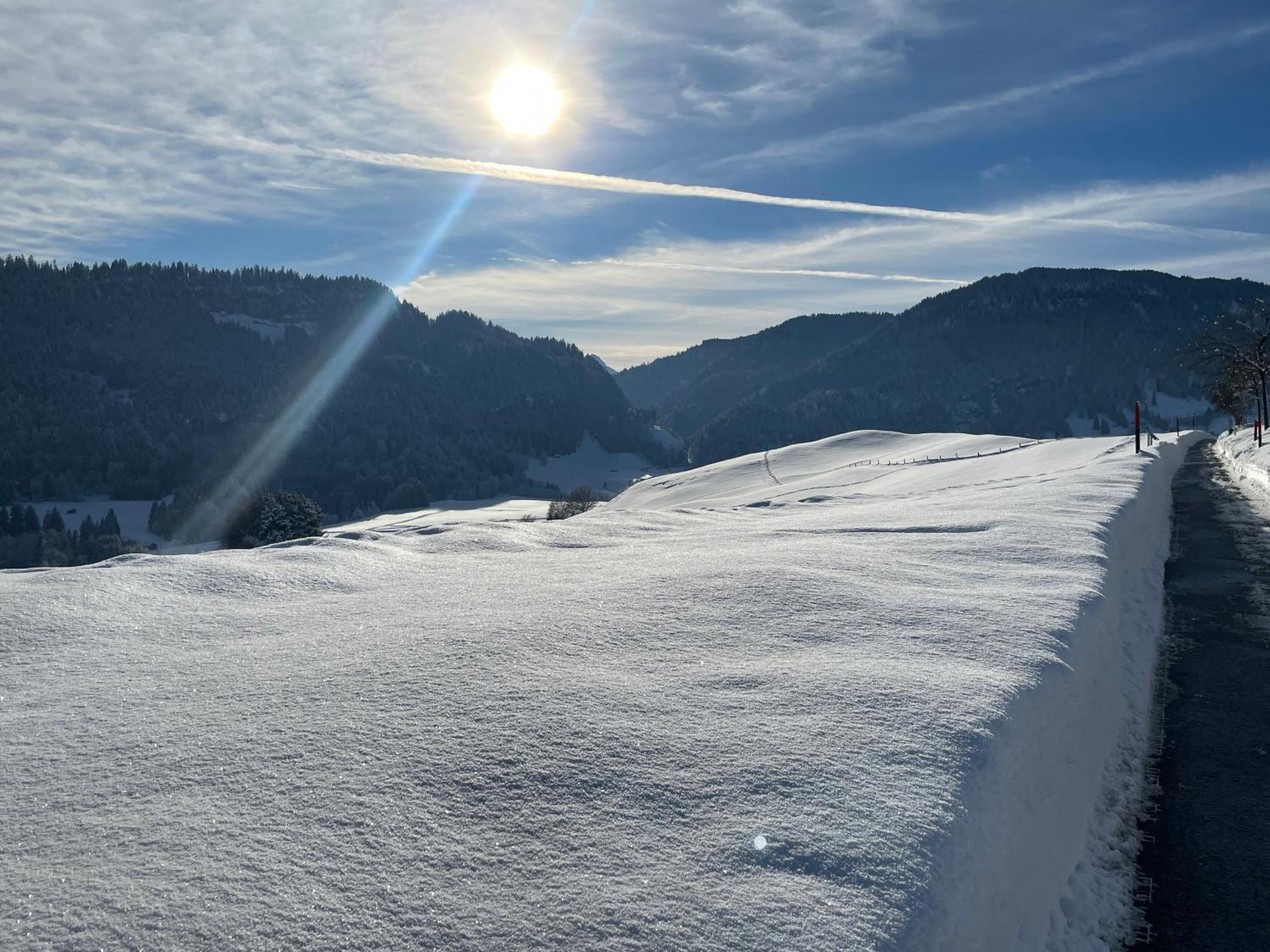 Hotel Garni Oberdorfer Stuben Obermaiselstein Dış mekan fotoğraf