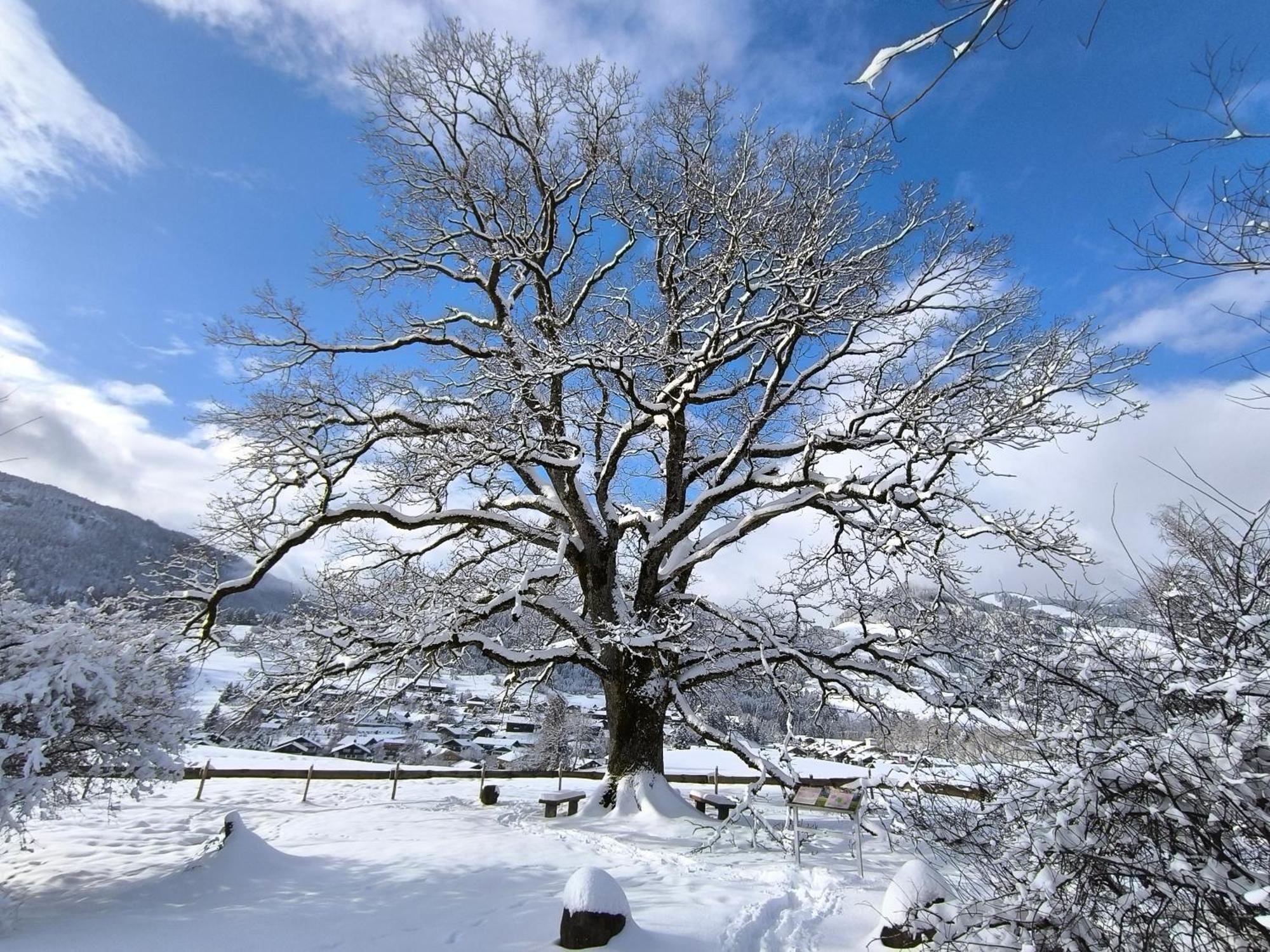 Hotel Garni Oberdorfer Stuben Obermaiselstein Dış mekan fotoğraf